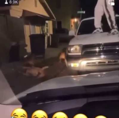 Bonked to the next life