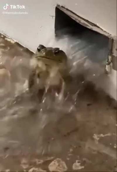 taking a bath