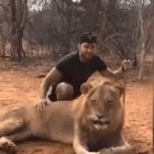lion trolls a young man