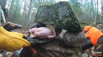 Stone & Rock Oven - Baking Cornish Hen