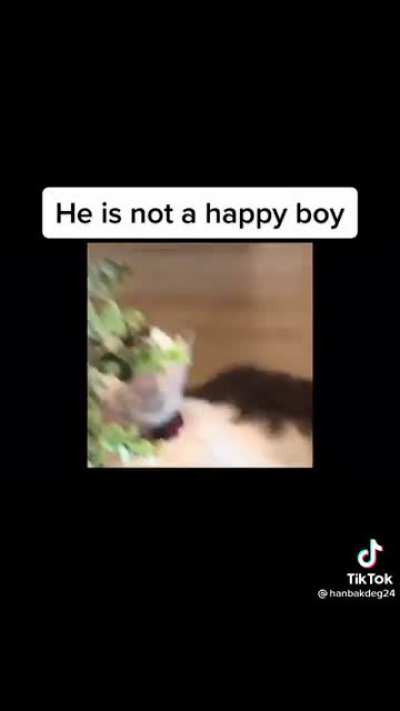 Poor lil buddy