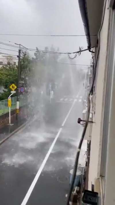 It's been raining a lot lately, but still...