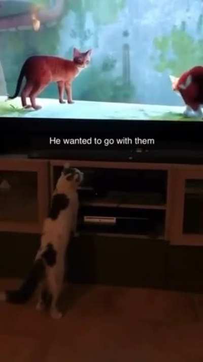 hey, wait for me!