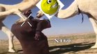 Lol camel nigga صحف بحث لحبق قخثخث kkkk 🤣🤣🤣🤣 haram man 🤮🤮✊
