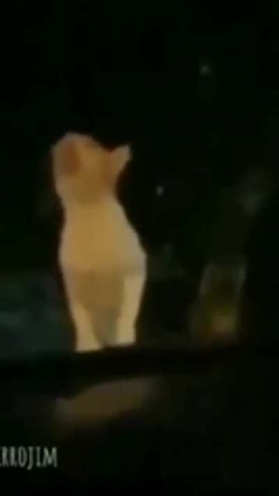 AAAAAAA