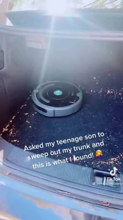Sweeping out the trunk