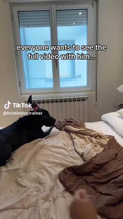 @kris<wbr>tindo<wbr>gtrai<wbr>ner I think I will take it offline in 1 week…