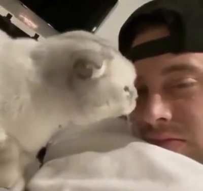 Can I lick your nose?