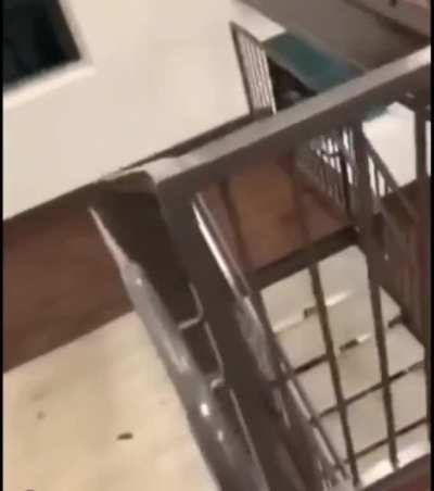 Drunk rail slide.