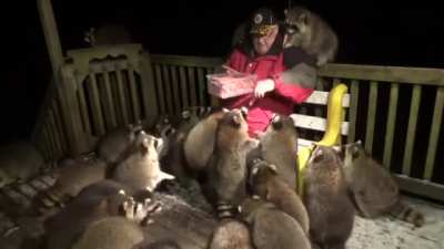 Too many coons...