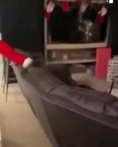 Grinch Stealing Christmas Tree