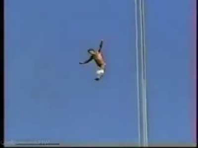 Ah! A perfect dive