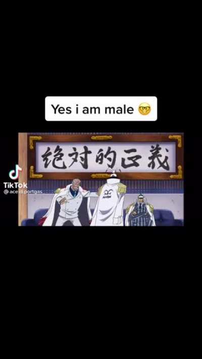 XD