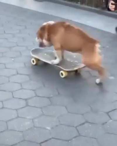 How?