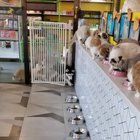 Lunchtime!