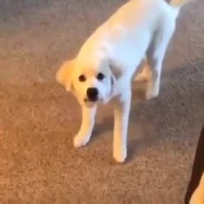 This deserves to be here