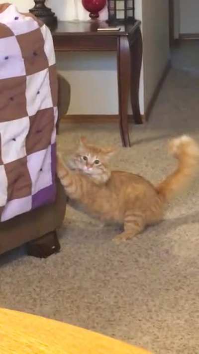 Caught in the act