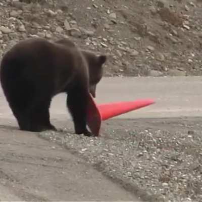 Such a gentleman bear
