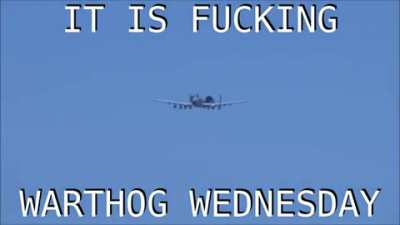 Happy Wednesday
