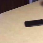 Quarantine, Siri (sound on)