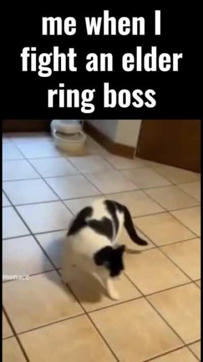 me memorizing the boss move