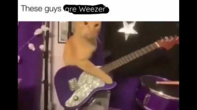 Currently wunkusing out to Weezer