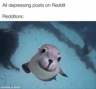 Hello wholesome meet Depressed