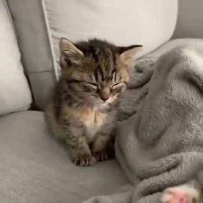 Fighting sleepiness never been this cute. <3