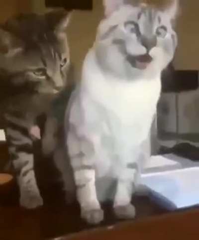 Don't stop, keep doing it, yes, right there, YES, YEEES!