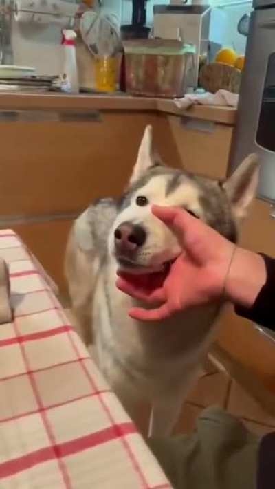 Aaaaaaahhhhh rule