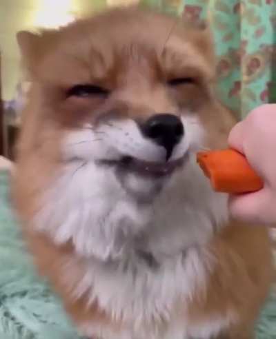 Fox rule