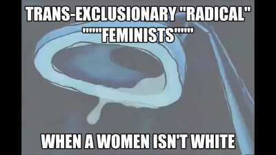 wtf they put racism in transphobia???