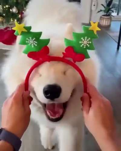 The Best Video Of The Year ❤️