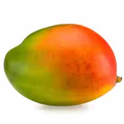 my main goa-