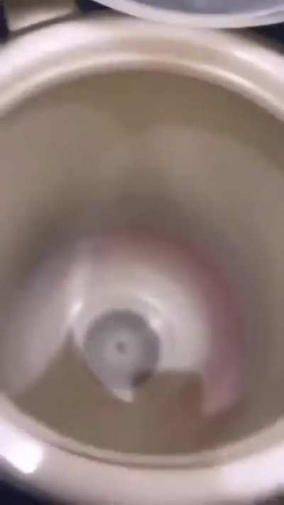 WAAAAAAAAA