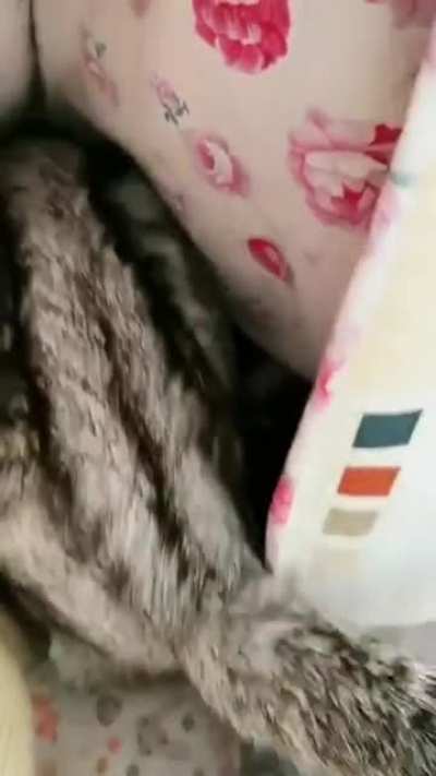 Precious mommy.