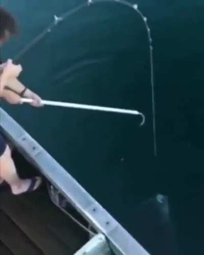 To fish