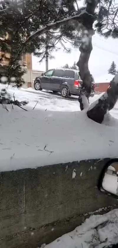 More idiots with their chains on the wrong tires