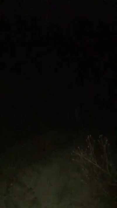 Skin walker spotted in Northeast US.
