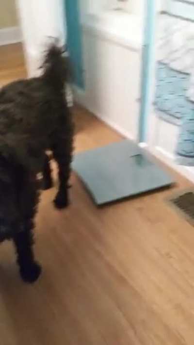 That's one way to get them to leave me alone in the bathroom.