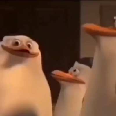 Day 6 of posting shit from my phone