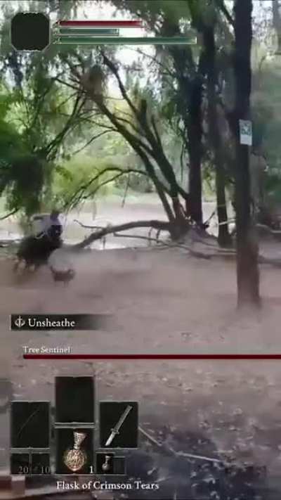 Enrico, Tree sentinel of the lost Forest
