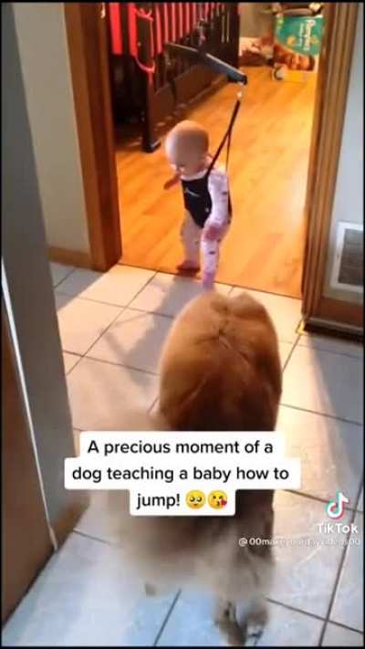 This doggo teaching the baby how to jump