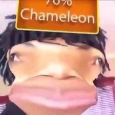 Chameleon isn’t an ethnicity WTF 🤔🤔😂😳😳💂‍♀️