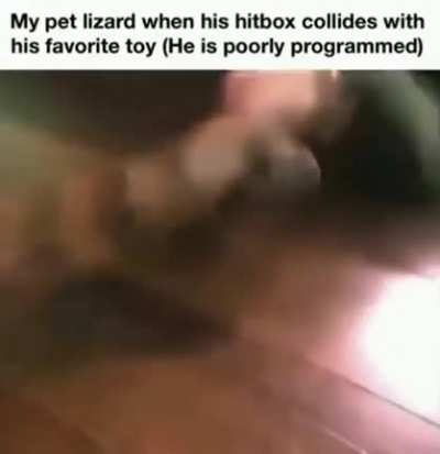 lizard patchnotes V2.31A