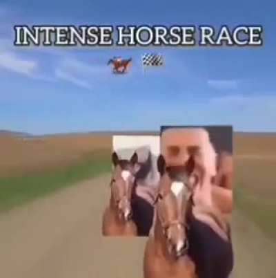 BLACK BEAUTY WINS THE RACE! 
