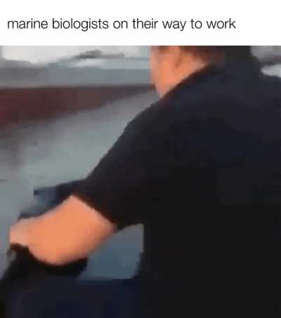 Weeeee