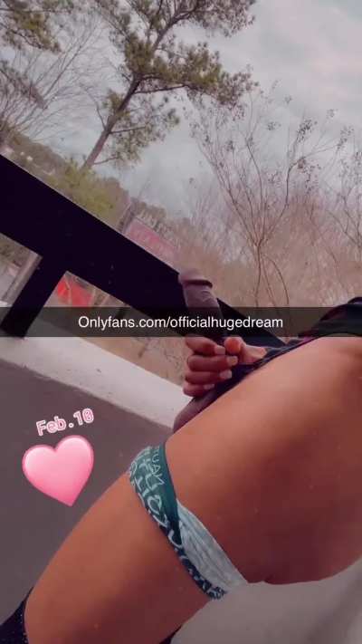 Ts HugeDream