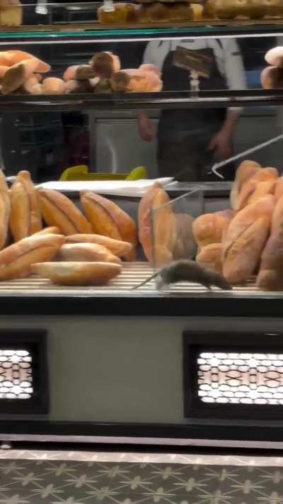 Blursed Bakery
