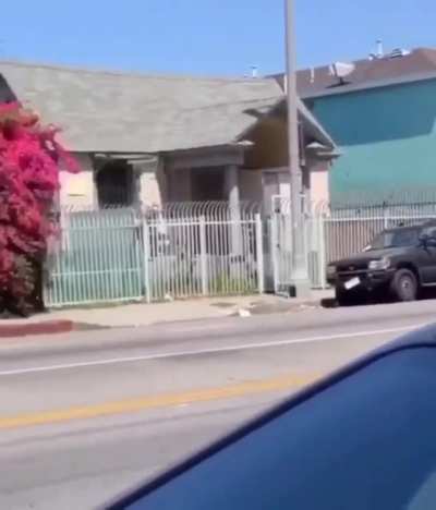 Chevy!